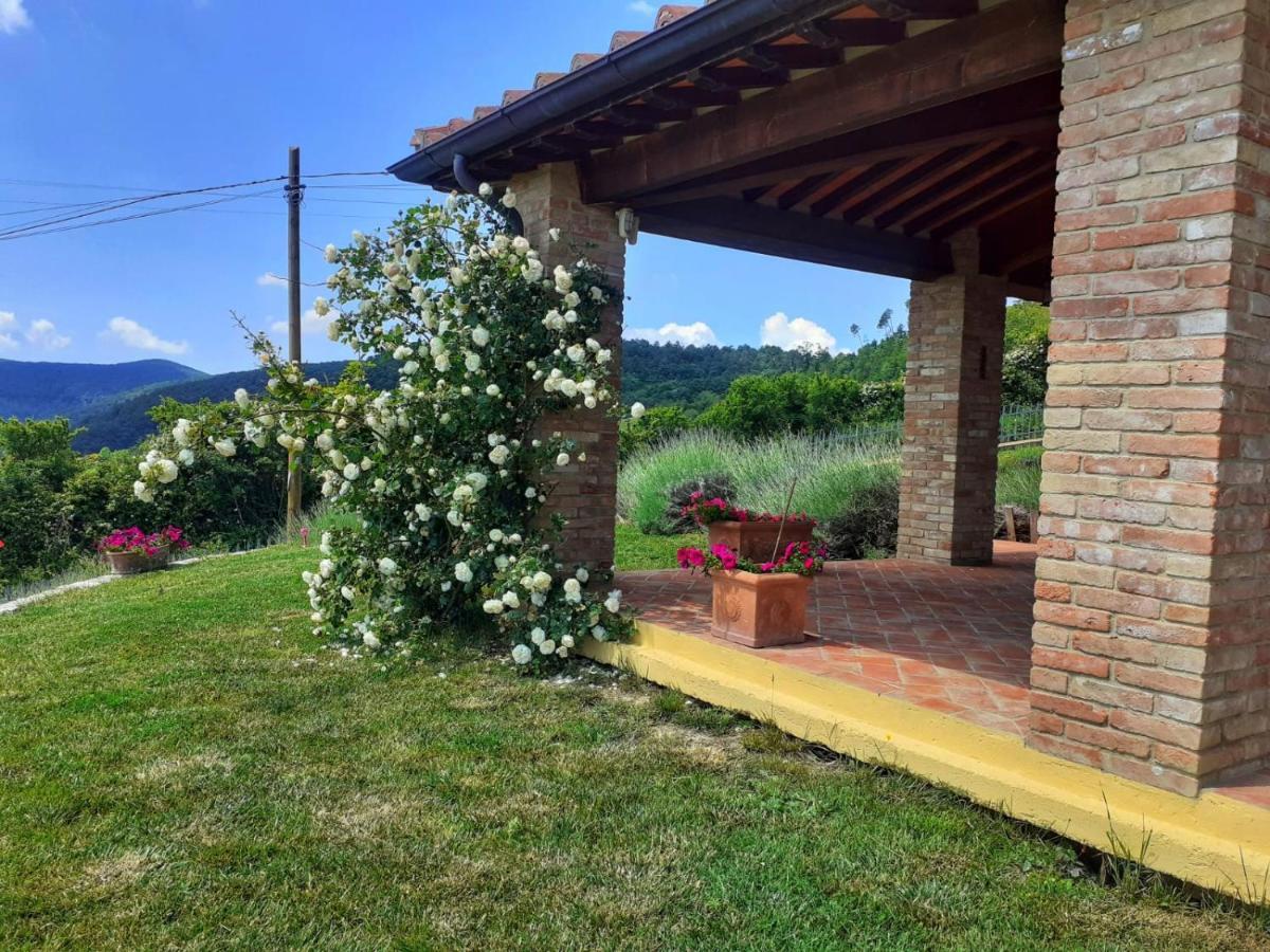 Dimora Degli Angeli Villa Chianni Luaran gambar